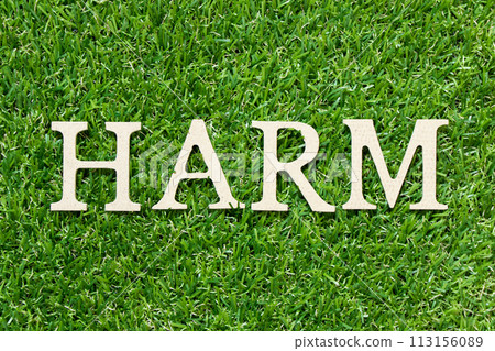 Wood letter in word harm on green grass background 113156089