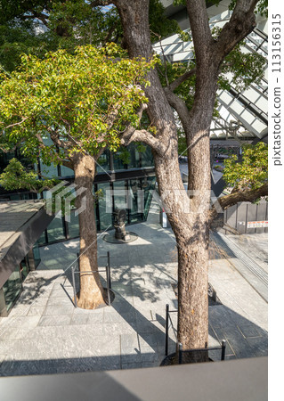 Urban Scene 113156315