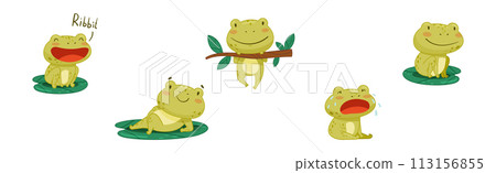 Funny Green Frog Character Engaged in Different Activity Vector Set Funny Green Frog Character Engaged in Different Activity Vector Set 113156855