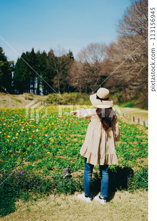 A woman enjoying a poppy field 113156945