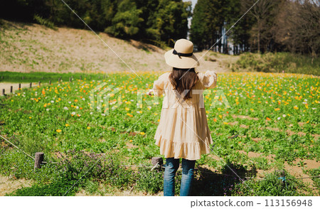 享受罌粟田的女人 113156948