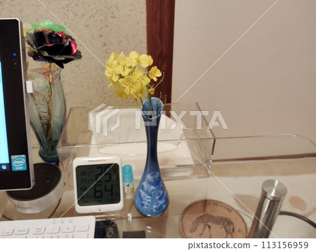 廚房的內部 113156959