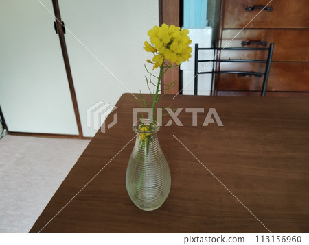 Yellow flower decorated in the room 113156960