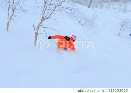 野外滑雪 野外滑雪 113158665