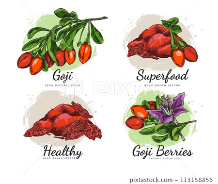 Set of hand drawn fresh and dry goji berries sketch style 113158856