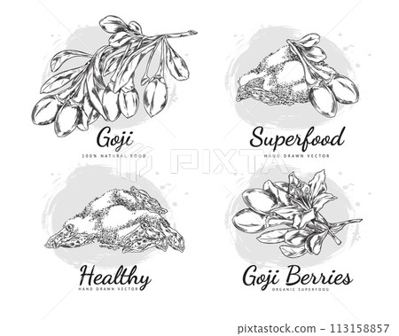 Collection of botanical vector drawings in sketch style: goji berries, a twig with flowers and leaves Collection of botanical vector drawings in sketch style: goji berries, a twig with flowers and leaves 113158857