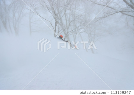 野外滑雪 113159247