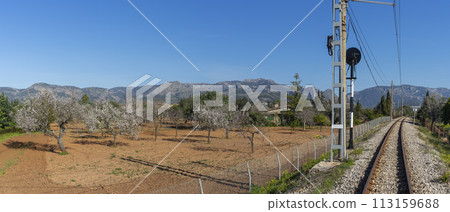 Rustic Charm of the Countryside: Blossoming Orchard by the Railway Rustic Charm of the Countryside: Blossoming Orchard by the Railway 113159688