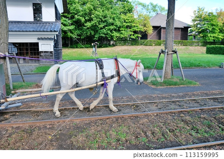 北海道先鋒村馬拉鐵路風光 113159995