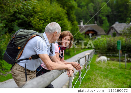 Elderly couple leaning against wooden railing during hike in mountains. Senior tourists resting, enjoying view 113160072