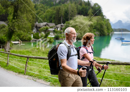Portrait of active elderly couple hiking together in mountains. Senior tourists walking with trekking poles. Portrait of active elderly couple hiking together in mountains. Senior tourists walking with trekking poles. 113160103
