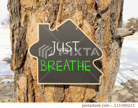 Just breathe and psychological symbol. Concept words Just breathe on beautiful black house blackboard. Beautiful tree background. Business psychological and Just breathe concept. Copy space Just breathe and psychological symbol. Concept words Just breathe on beautiful black house blackboard. Beautiful tree background. Business psychological and Just breathe concept. Copy space 113160222