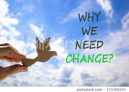 Why we need change symbol. Concept words Why we need change. Beautiful blue sky cloud background. Voter hand with wooden bird. Business and why we need change concept. Copy space. 113160241