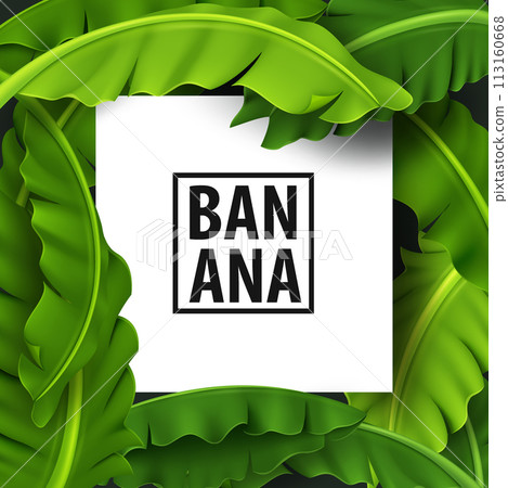 Banana Leaves Banner, Green Tropical Leaf, Realistic and Look Fresh, Vector Illustration 113160668