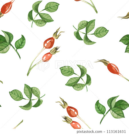 Seamless watercolor pattern. Rosehip, green rosehip leaves, red rosehip berries hand drawn in watercolor. Suitable for printing on fabric and paper, for textiles, scrapbooking, postcards. Seamless watercolor pattern. Rosehip, green rosehip leaves, red rosehip berries hand drawn in watercolor. Suitable for printing on fabric and paper, for textiles, scrapbooking, postcards. 113161631