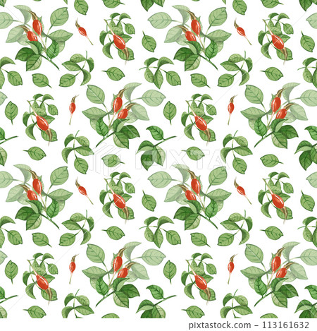 Seamless watercolor pattern. Rosehip, green rosehip leaves, red rosehip berries hand drawn in watercolor. Suitable for printing on fabric and paper, for textiles, scrapbooking, postcards. Seamless watercolor pattern. Rosehip, green rosehip leaves, red rosehip berries hand drawn in watercolor. Suitable for printing on fabric and paper, for textiles, scrapbooking, postcards. 113161632
