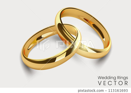 Gold Interlaced Wedding Rings, Realistic Rings, Vector Illustration Gold Interlaced Wedding Rings, Realistic Rings, Vector Illustration 113161693