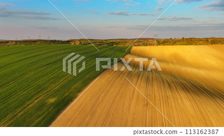 Green wavy hills with agricultural fields 113162387