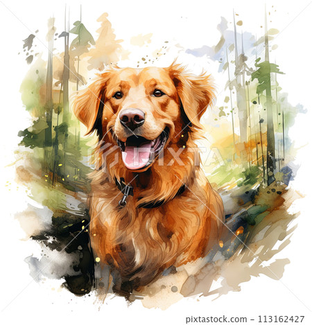 Watercolor Painting of a Golden Retriever Dog 113162427