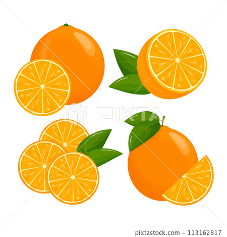 Orange fruit. Oranges that are segmented on a white background, juicy seasonal fruits, citrus. Vector illustration. 113162817