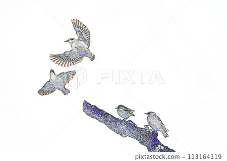 Pastel style "4 starlings" illustration image 113164119