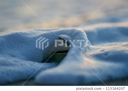 trash can with ocean waves ecology 113164207