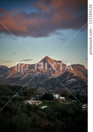 Spain Andalucia spring surrounding lonely tree mountains clouds tunnel Spain Andalucia spring surrounding lonely tree mountains clouds tunnel 113164226