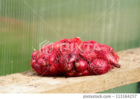 red onions basket ready to seed red onions basket ready to seed 113164257