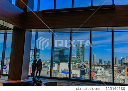 從東京澀谷 Scramble Square 12 樓展望台看到的景色 113164388