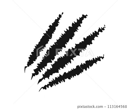 Scratch claw marks. Bear, wolf, toger or panther, dragon, monster or werewolf talons trace isolated on white background. Scary torn scars. Wild animal scratches track. Vector graphic illustraton 113164568