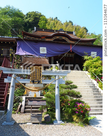 Chikubushima Shrine Chikubushima Shrine 113164677