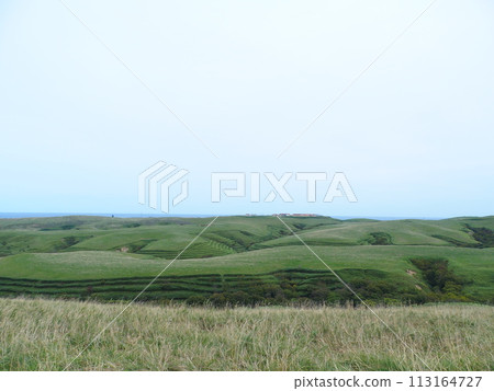 Cape Soya Ranch Pasture Cape Soya Ranch Pasture 113164727