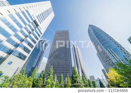 夏天的「東京」抬頭看新宿的建築 113164866