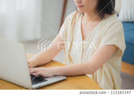 Young woman using a computer in the living room Young woman using a computer in the living room 113165147