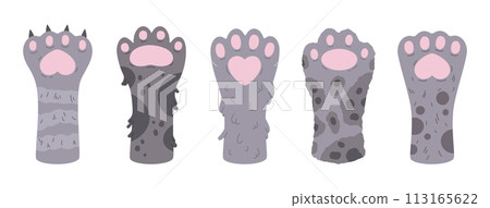 Fluffy cats paws. Hand drawn kitty paws, spotted and striped domestic animals feet, kitty cat paws flat vector illustration set. Cute kitten paws on white 113165622