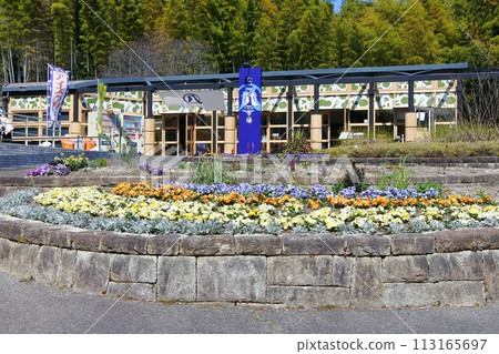 名古屋市農業中心名古八市場 名古屋市農業中心名古八市場 113165697