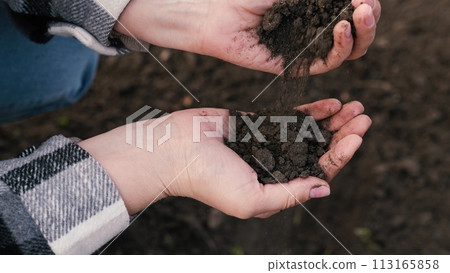 woman farmer pours environmentally friendly soil hands, touching soil field with fingers, farmer organic gardening engineer, growing seeds, growing vegetables field farm, business, hands soil close-up woman farmer pours environmentally friendly soil hands, touching soil field with fingers, farmer organic gardening engineer, growing seeds, growing vegetables field farm, business, hands soil close-up 113165858