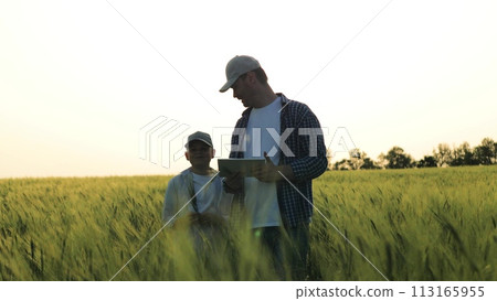 summer season, professional farmer son child kid working together wheat field, developing family business by growing plantation crops, farmer father son boy child kid walking wheat fields taking care 113165955