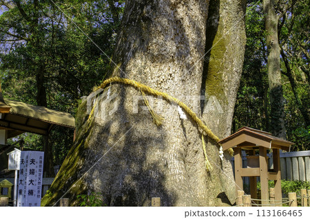 Husband and wife Husband and wife 113166465