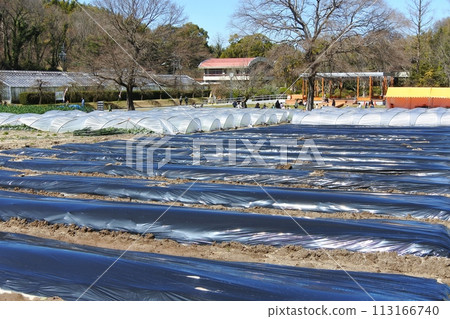 名古屋市農業中心農場區 113166740