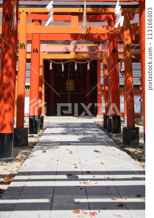 Kobe Minatogawa Shrine grounds scenery 113166803