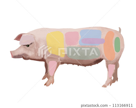 豬(零件圖)無人物 豬(零件圖)無人物 113166911