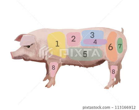 豬（零件圖）與數字 113166912