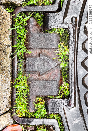 Concept of Direction and Movement, and Path to Development and Progress, Metal Right Arrow Surrounded by Green Grass, Symbol of Harmonious Fusion of Modern Technology and Nature, Vertical Frame 113166975