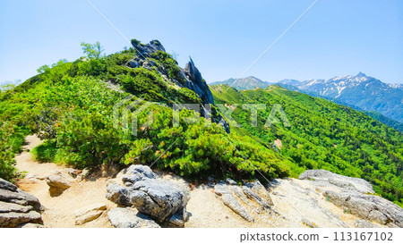 Climbing Mt. Tsubaku in summer (Tsubame-zanso - summit of Mt. Tsubaku: view towards Mt. Yarigatake) 113167102