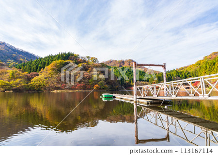 Autumn in Annaka City, Gunma Prefecture, Abt Road with autumn leaves, Lake Usui Autumn in Annaka City, Gunma Prefecture, Abt Road with autumn leaves, Lake Usui 113167114
