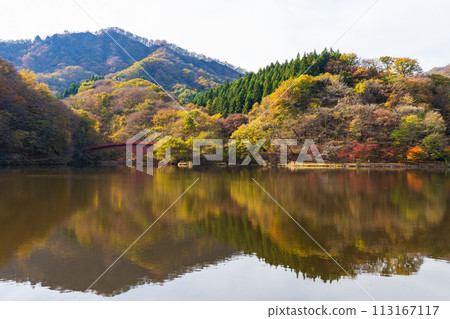 Autumn in Annaka City, Gunma Prefecture, Abt Road with autumn leaves, Lake Usui Autumn in Annaka City, Gunma Prefecture, Abt Road with autumn leaves, Lake Usui 113167117