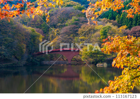 Autumn in Annaka City, Gunma Prefecture, Abt Road with autumn leaves, Lake Usui Autumn in Annaka City, Gunma Prefecture, Abt Road with autumn leaves, Lake Usui 113167123