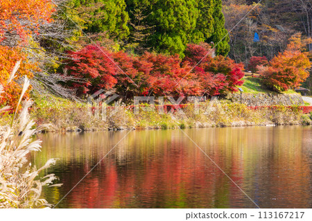 Autumn in Annaka City, Gunma Prefecture, Abt Road with autumn leaves, Lake Usui Autumn in Annaka City, Gunma Prefecture, Abt Road with autumn leaves, Lake Usui 113167217
