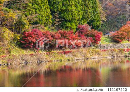 Autumn in Annaka City, Gunma Prefecture, Abt Road with autumn leaves, Lake Usui Autumn in Annaka City, Gunma Prefecture, Abt Road with autumn leaves, Lake Usui 113167220